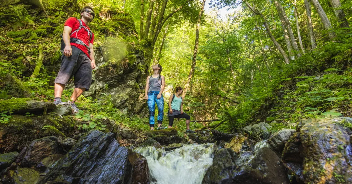 Tourisme. Destination nature : les plus beaux itinéraires autour de Grenoble, entre montagnes et vallées