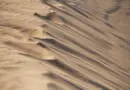 Nouvelle-Aquitaine, Bordeaux, Biarritz, dune, ocean, vineyard, forest, landscape