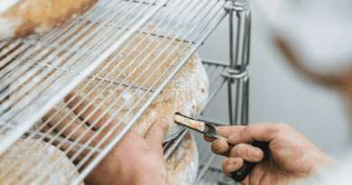 Tourte mayennaise, pommeau du Maine, fromages… Les saveurs authentiques de la Mayenne à découvrir