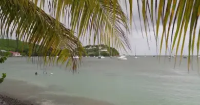 Trafic de drogue : les Antilles françaises, une plaque tournante des cartels