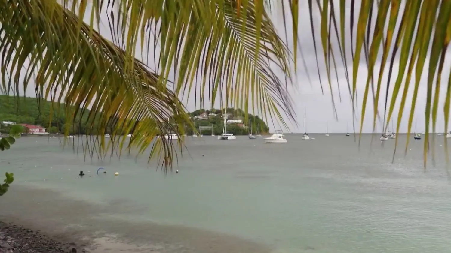 Trafic de drogue : les Antilles françaises, une plaque tournante des cartels