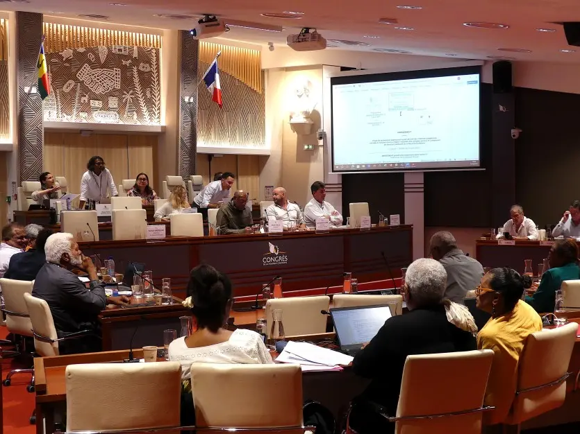 Transparence fiscale : la Nouvelle-Calédonie modifie sa législation et s’ajuste aux règles internationales