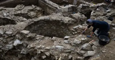 "Très grande surprise, très émouvante" : une découverte exceptionnelle datant du premier siècle se révèle