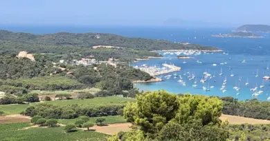 Tribune libre. Parc national de Port-Cros: "60 ans de protection environnementale ne peuvent être balayés d’un revers de main administrative"