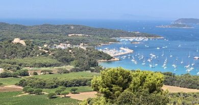 Tribune libre. Parc national de Port-Cros: "60 ans de protection environnementale ne peuvent être balayés d’un revers de main administrative"