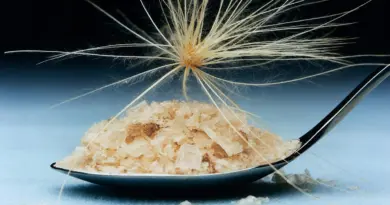 Trois ingrédients de haut vol pour cuisiner : ajvar, sel fumé de Maldon et tuna ganoush