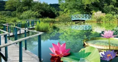 Trois jardins qui créent la surprise - ici