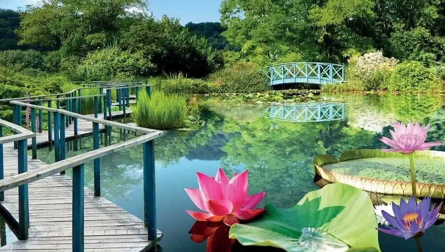 Trois jardins qui créent la surprise - ici