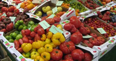Trois marchés où remplir son panier et en prendre plein les yeux - ici