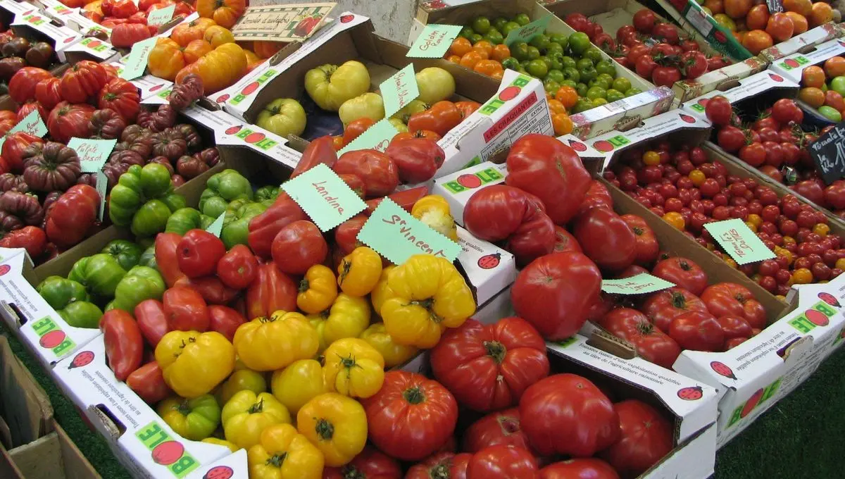 Trois marchés où remplir son panier et en prendre plein les yeux - ici
