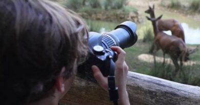 Tyrolienne, fromage et cerfs : l’été pas comme les autres à la ferme