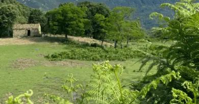 U Nutiziale di u Celavu Prunelli - Communauté de Communes du Celavu Prunelli
