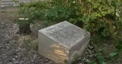 "Un acte de vandalisme" : l'olivier planté en mémoire d'Ilan Halimi abattu à Epinay-sur-Seine