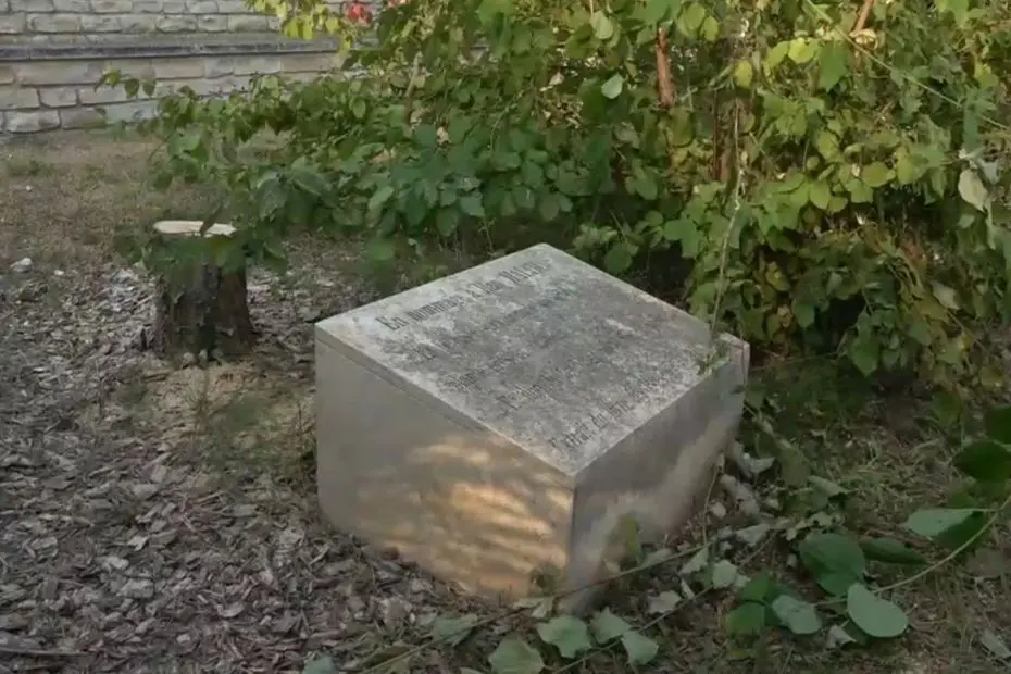 "Un acte de vandalisme" : l'olivier planté en mémoire d'Ilan Halimi abattu à Epinay-sur-Seine