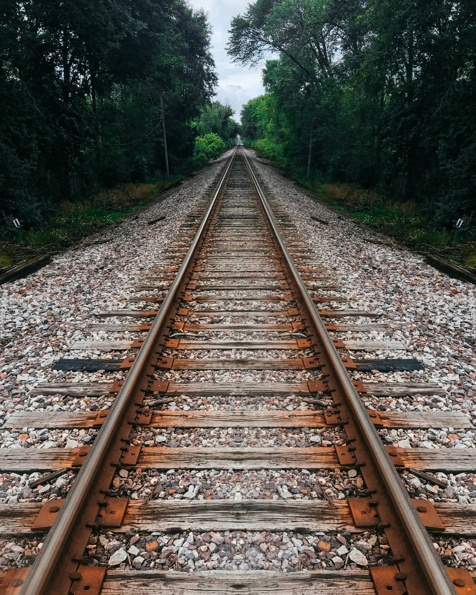 Malgré l’alerte sonore le conducteur n’a pu éviter le choc