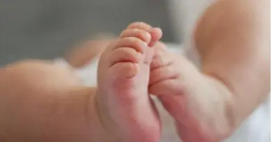 Un bébé retrouvé enterré dans un jardin en Vendée : les parents mis en examen