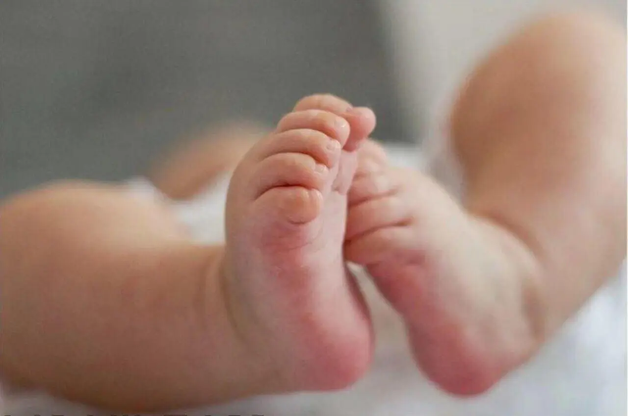 Un bébé retrouvé enterré dans un jardin en Vendée : les parents mis en examen