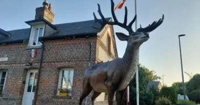 Un cerf a pris place dans cette commune de Seine-Maritime située en pleine forêt