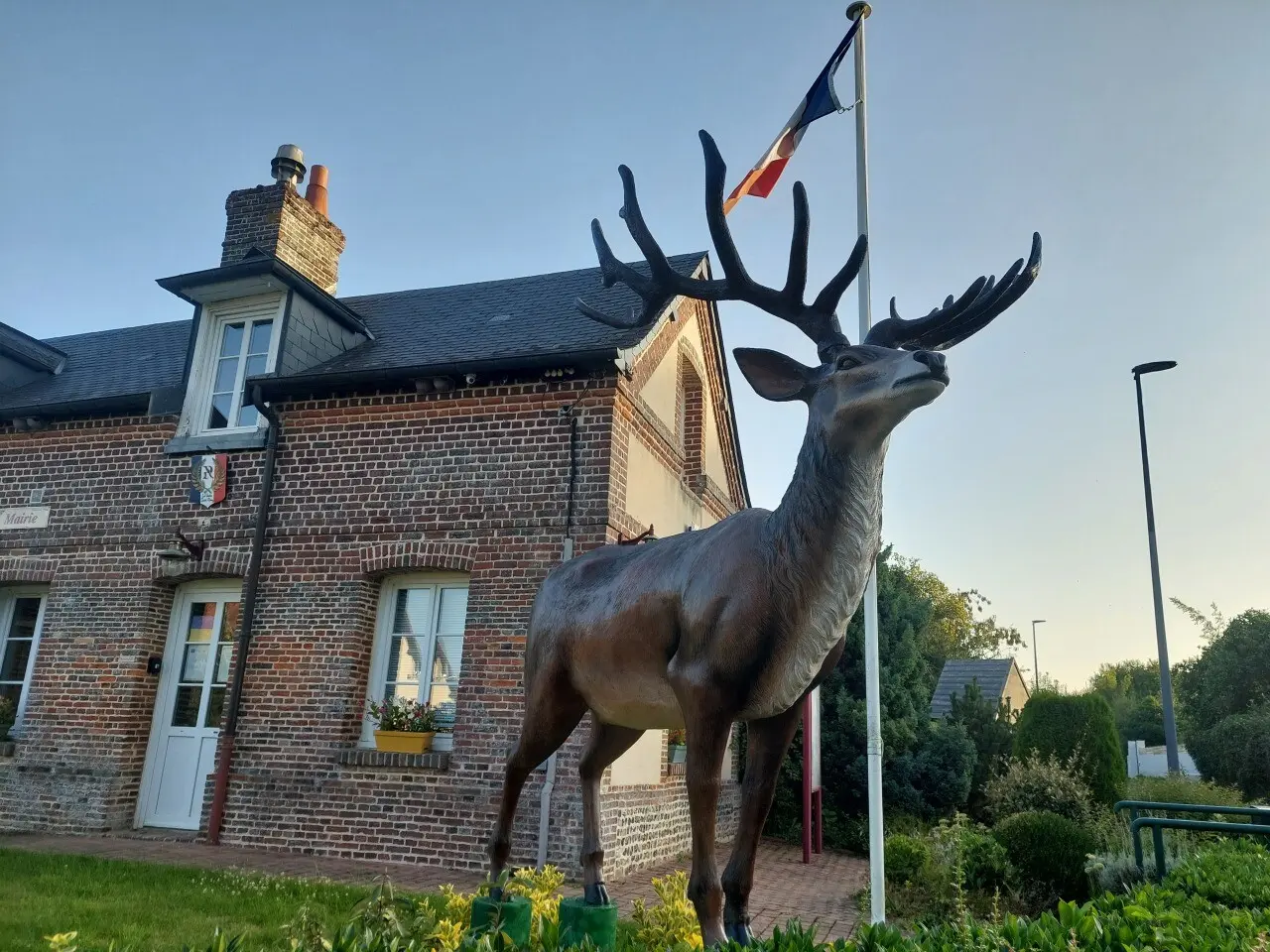 Un cerf a pris place dans cette commune de Seine-Maritime située en pleine forêt