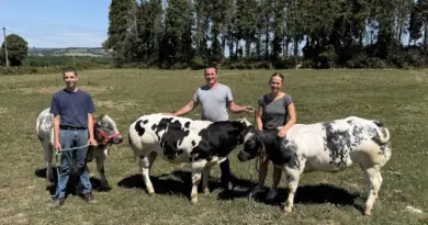 Un concours national Blanc Bleu aura lieu lors du prochain Festival de la Viande d'Evron