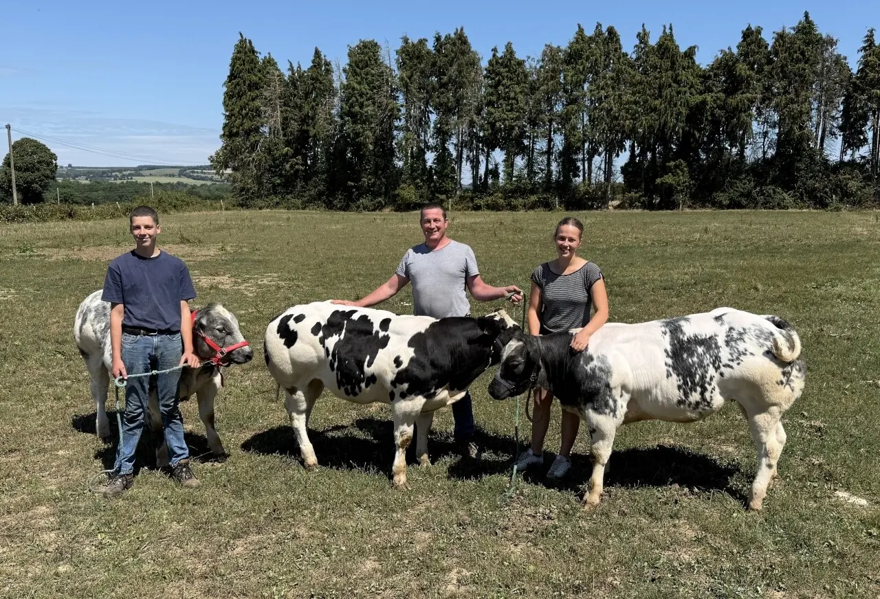 Un concours national Blanc Bleu aura lieu lors du prochain Festival de la Viande d'Evron