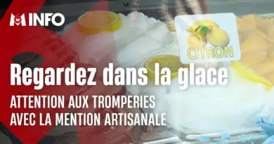 Un coup d'œil peut suffire pour savoir si une glace est artisanale