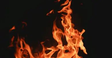 Quatorze sapeurs-pompiers sont intervenus afin de circonscrire le sinistre