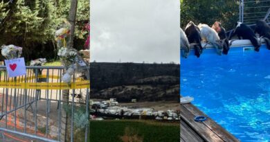 Un enfant tué par un bloc de béton, une rave sur le site du mega feu de l’été, des chèvres envahissantes : l’essentiel de l’actu en région