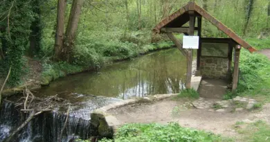Un été à pied dans les Yvelines : un bol d’oxygène et une jolie randonnée autour de Port-Royal-des-Champs