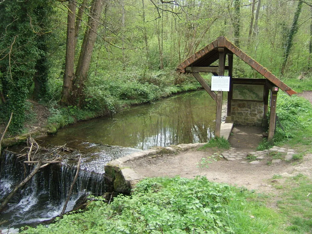 Un été à pied dans les Yvelines : un bol d’oxygène et une jolie randonnée autour de Port-Royal-des-Champs
