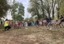 Un festival gratuit pour éduquer et sensibiliser à l'environnement, "nous voulons attirer tous les publics, et pas seulement les convaincus"