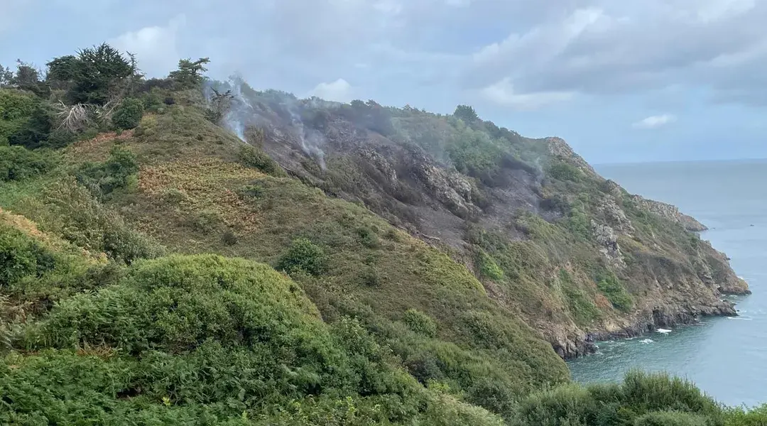 Un feu détruit 1,5 hectare de végétations aux falaises de Plouha, 70 pompiers ont été