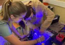 Un fluorimètre low-cost au service des écosystèmes côtiers