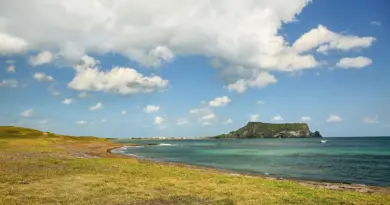 Mayotte, Mamoudzou, lagoon, beach, coral, mangrove, ylang-ylang, island, Creole, nature
