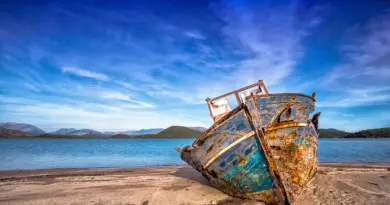 Martinique, Fort-de-France, beach, volcano, palm, rainforest, Creole, boat, island