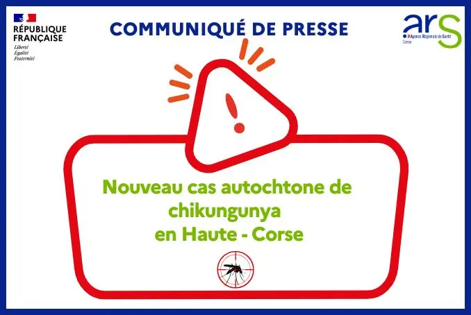 Un nouveau cas autochtone de chikungunya détecté à Ghisonaccia