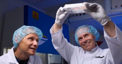 Un startup romande cultive des neurones vivants pour révolutionner l’IA