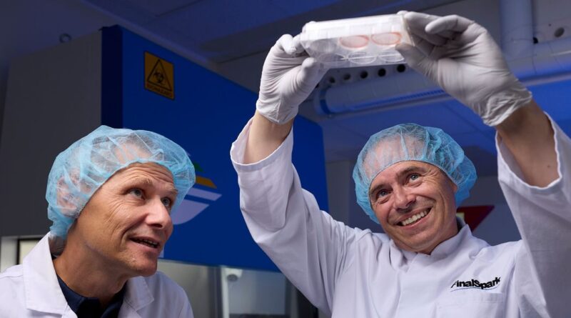 Un startup romande cultive des neurones vivants pour révolutionner l’IA