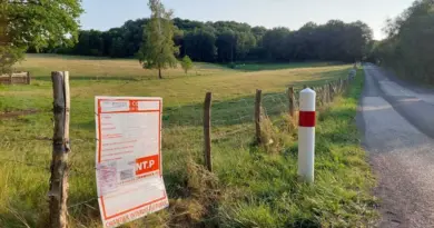 "Une aberration": dans l'Orne, une antenne relais géante doit voir le jour au creux d'une vallée