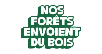 Une campagne de communication d’envergure qui envoie du bois - France Bois Forêt