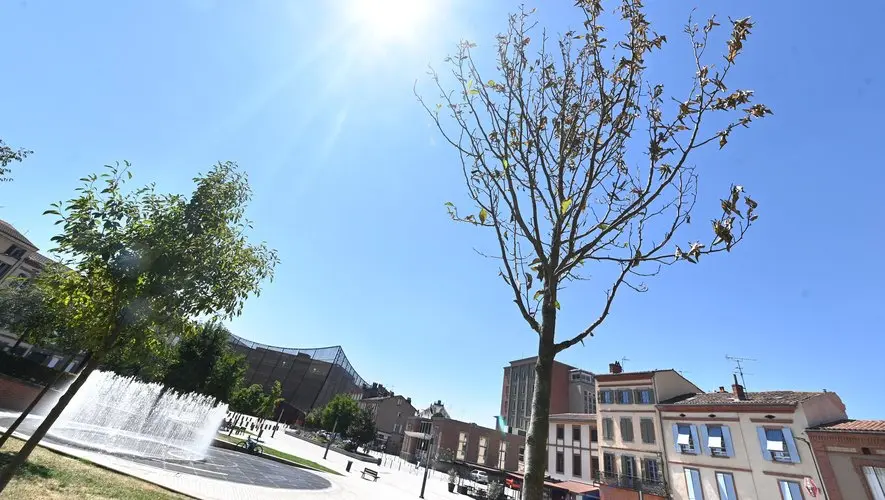 Une deuxième journée consécutive classée rouge canicule dans le Tarn et un risque d’orages dans tout le département ce mercredi
