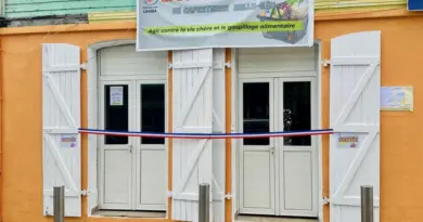 Une épicerie solidaire pour sortir la tête de l'eau