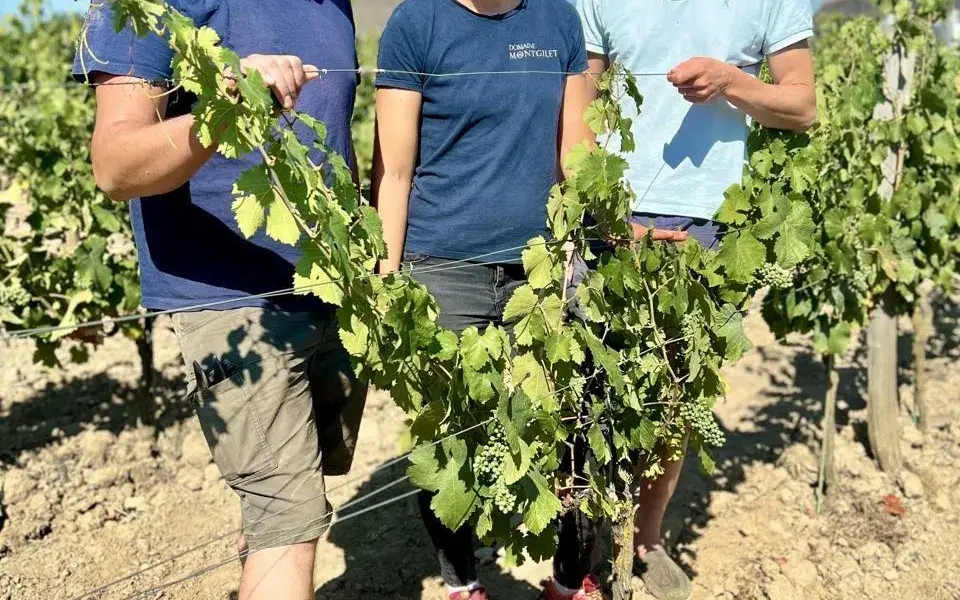 « Une fraîcheur en fin de bouche » : ce vin discret et reconnu fait le succès de ce vignoble