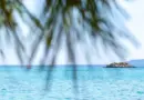 Nouvelle-Calédonie, Nouméa, lagoon, reef, beach, island, Kanak, nature, landscape, coral