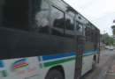 Une nouvelle ligne express de bus entre Paea et Papeete lancée dès lundi prochain