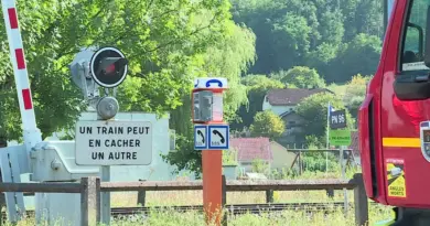 Une septuagénaire, qui traversait un passage à niveau, meurt percutée par un train