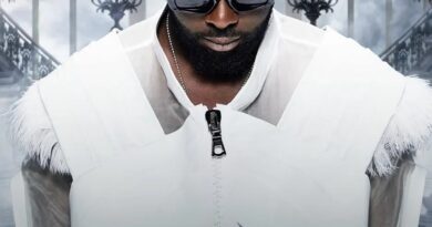 V and B Fest’ 2025 : quels sont les artistes qui monteront sur scène ce dimanche ?