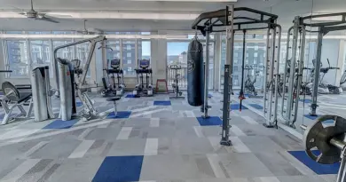sport, sports, athlete, athletics, training, exercise, workout, fitness, gym