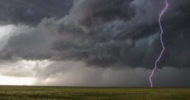 VIDÉO Arbres arrachés, déluge de grêle… les images des premiers orages qui s’abattent sur l’Occitanie