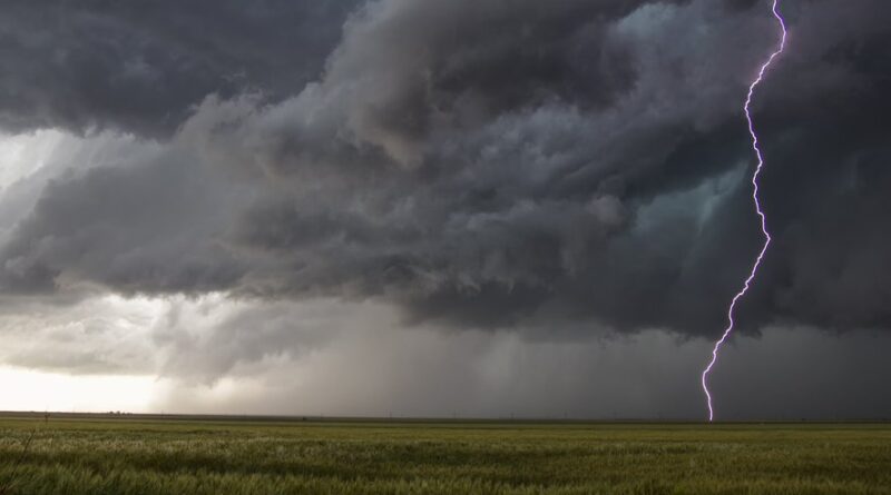 VIDÉO Arbres arrachés, déluge de grêle… les images des premiers orages qui s’abattent sur l’Occitanie